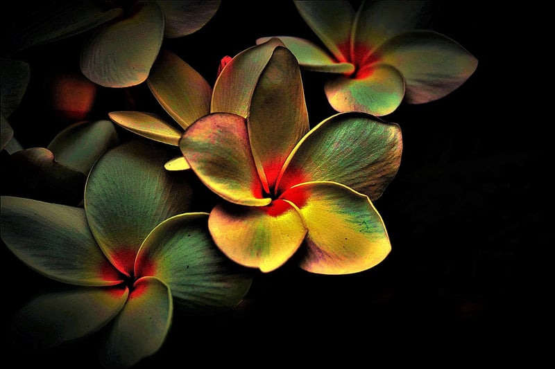 Puzzle Image